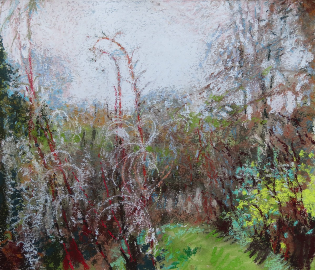 Evanescent Bounty - Rosebay Willowherb - Pastel 17.25 X 20 inches - Created 24th November 2020