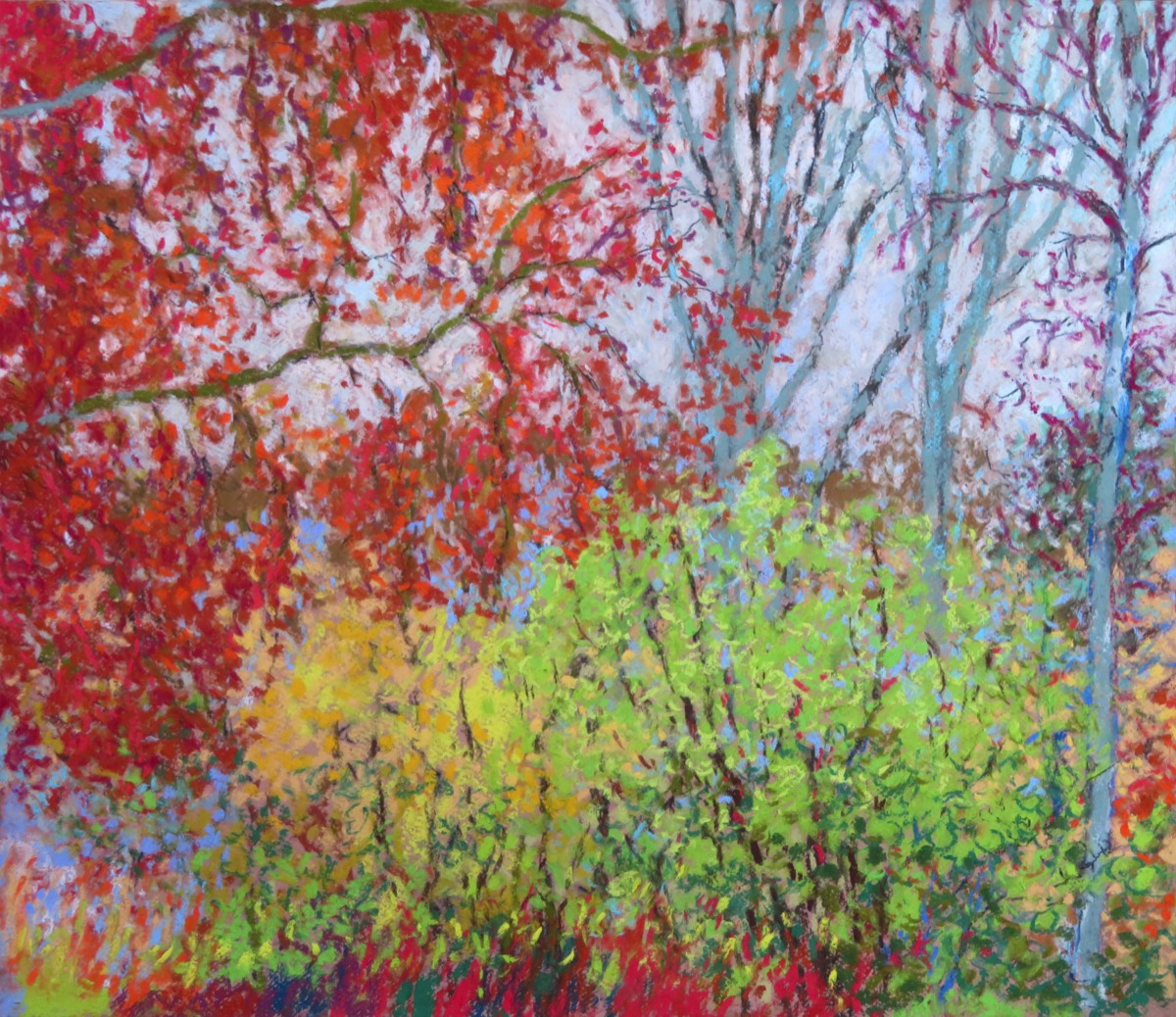 Fronds of the modest Beech, Hazels and the immodest Ash and Poplars - Pastel 17.25 X 20 inches - Created 27th November 2020